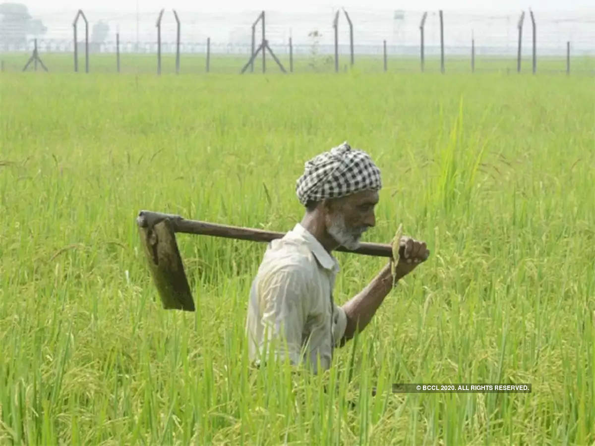 मेरी माटी मेरा देश गीत हर भारतीय के दिल में गहराई से गूंजता है :  प्रधानमंत्री