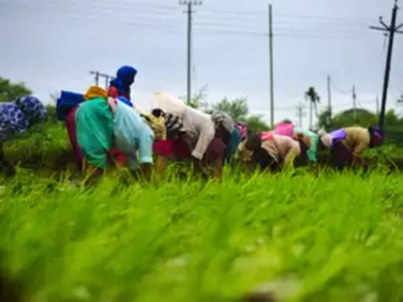 कृषि और किसान कल्याण मंत्रालय ने नई दिल्ली में भारत के 75वें गणतंत्र दिवस परेड को देखने के लिए 1500 से अधिक किसानों को आमंत्रित किया