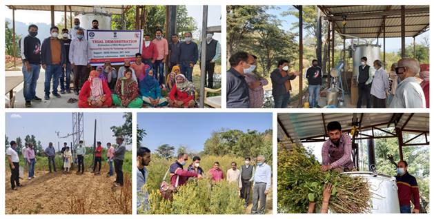 सुगंधित पौधों की खेती और प्रसंस्करण करने से हिमाचल में किसानों को दोगुनी आमदनी होती है; एक अन्य पहल के अनुसार, गीली मिट्टी छत्ता मधुमक्खी पालन प्रौद्योगिकी को अपनाने से परागण में सुधार हुआ है तथा सेब के उत्पादन में वृद्धि हुई है