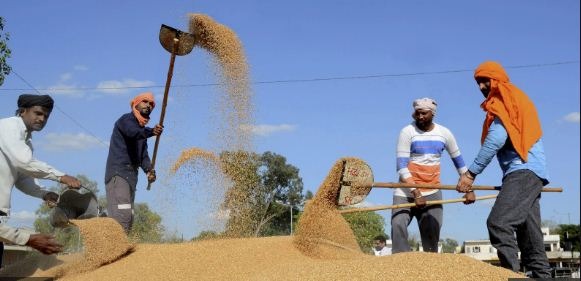 डीबीटी के माध्यम से पंजाब के किसानों के खातों में 8,180 करोड़ रुपये ट्रांसफर किए गए : केंद्र