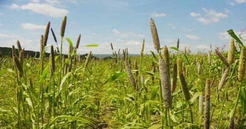 कृषि और ग्रामीण श्रमिकों के लिए अखिल भारतीय उपभोक्ता मूल्य सूचकांक संख्या – जुलाई, 2023