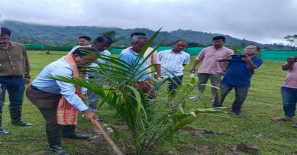 राष्ट्रीय खाद्य तेल मिशन- ऑयल पाम, के तहत ऑयल पाम की खेती के लिए मेगा पौधरोपण अभियान जुलाई और अगस्त 2023 मास के दौरान पूरे भारत में आयोजित किया जा रहा है